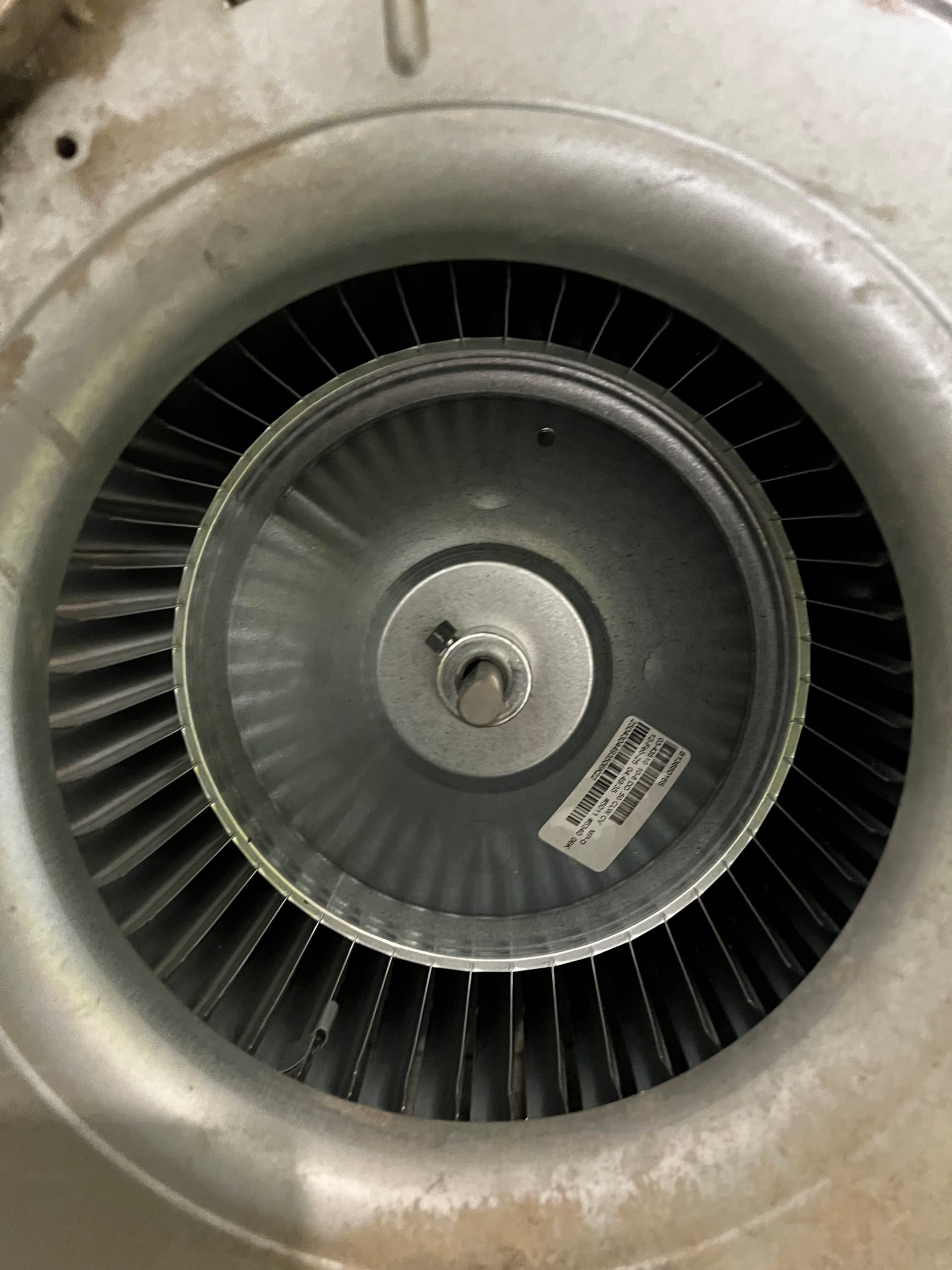 Gallery photos for Expert Blower Wheel Cleaning in Action: Image #1
