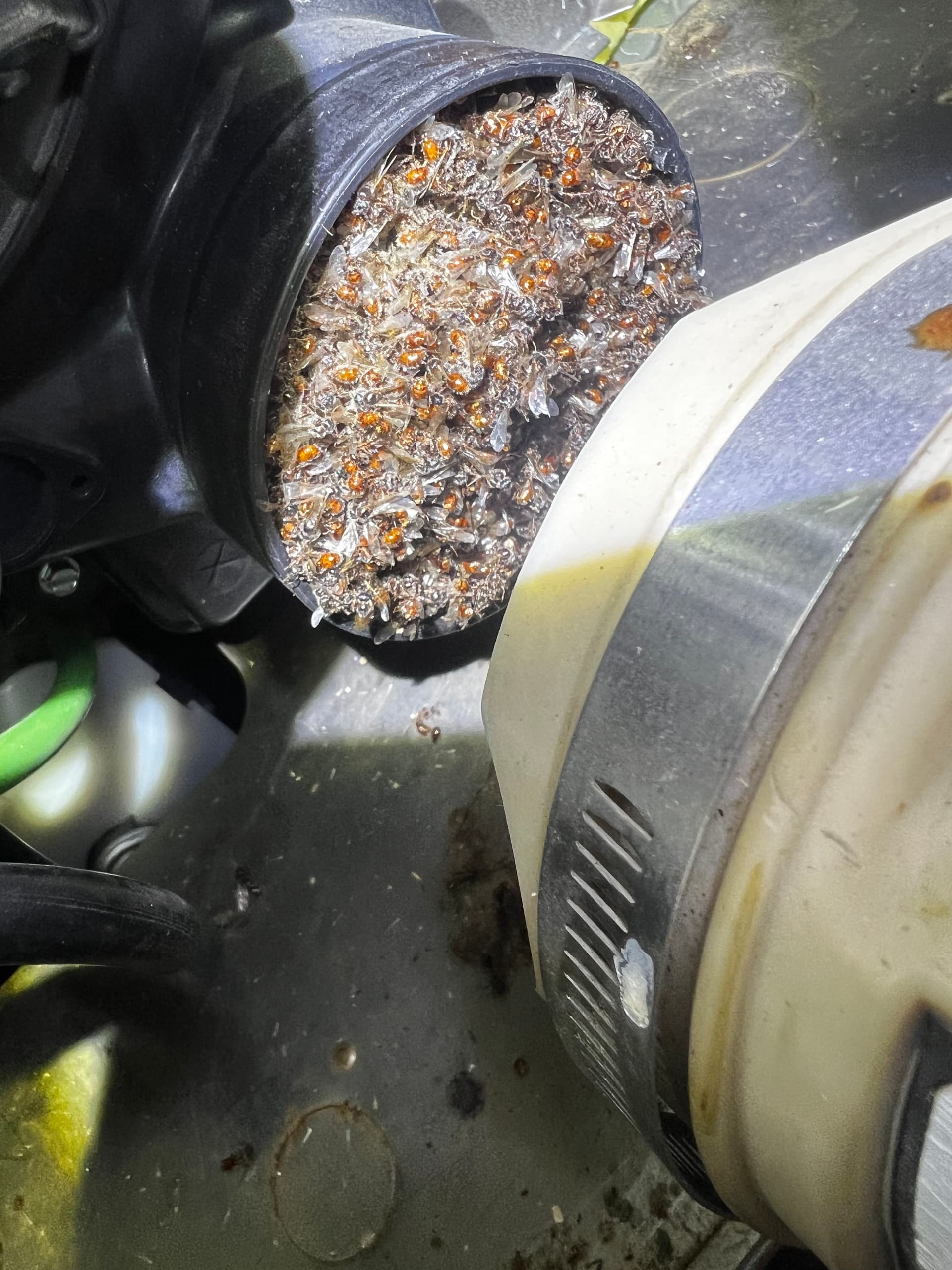 Don't Ignore Your HVAC Maintenance