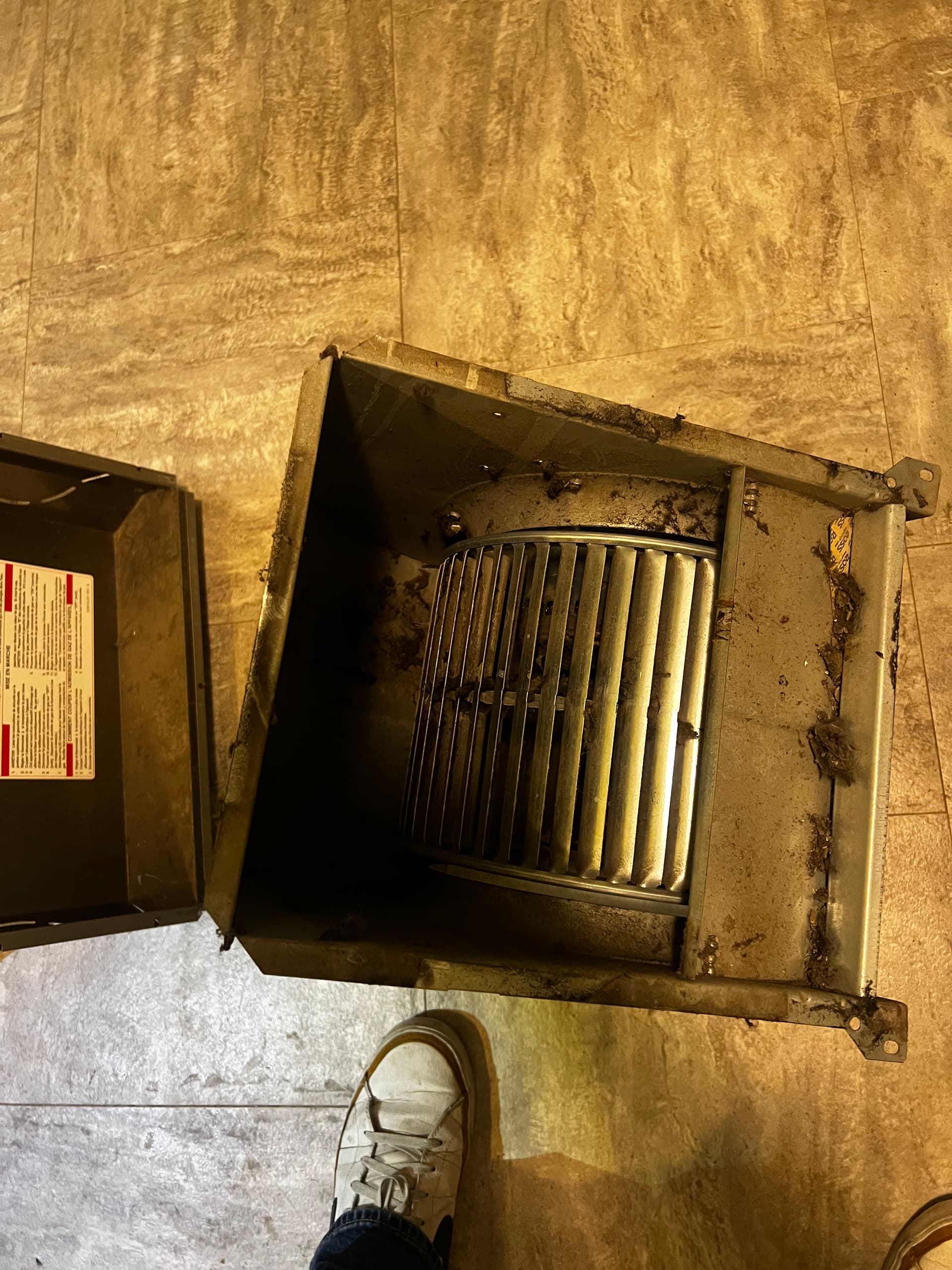 Expert Blower Wheel Cleaning in Action image